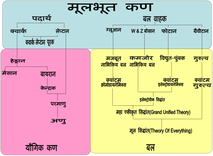 मूलभूत कण और मूलभूत बल