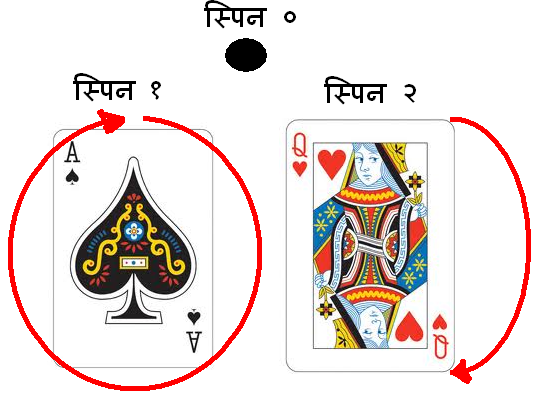 कणो की स्पिन