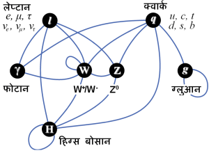 मानक प्रतिकृति के कणो की पारस्परिक क्रिया का संक्षेप
