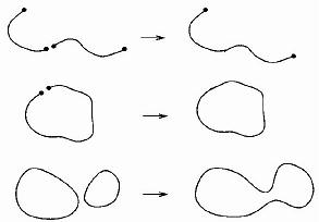 स्ट्रींगो के मध्य प्रतिक्रियायें स्ट्रींगो के मध्य प्रतिक्रियायें