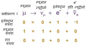 म्युआन का क्षय