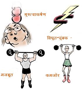 4 मूलभूत प्रतिक्रियाएँ