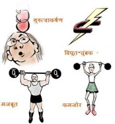 4 मूलभूत प्रतिक्रियाएँ