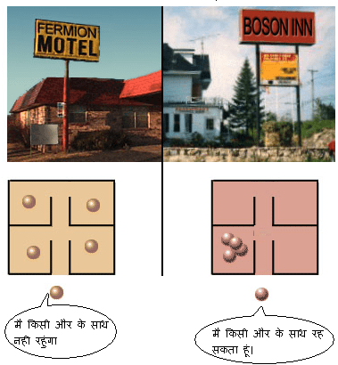 फर्मीयान कण और बोसान कण