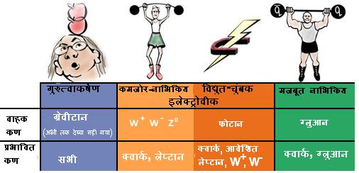 बलों का सारांश