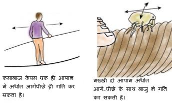 द्विआयामी या त्रीआयामी ?