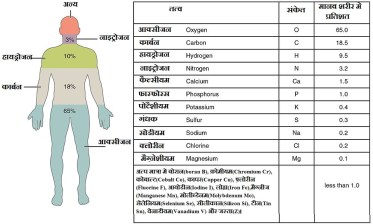 जीवन के लिये आवश्यक तत्व