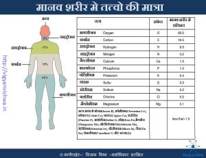 ChemicalElementsinHumanBody