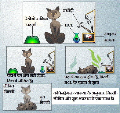 श्रोडीन्गर की बिल्ली