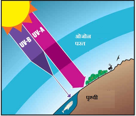 ओजोन द्वारा हानिकारक पराबैंगनी किरणो से बचाव