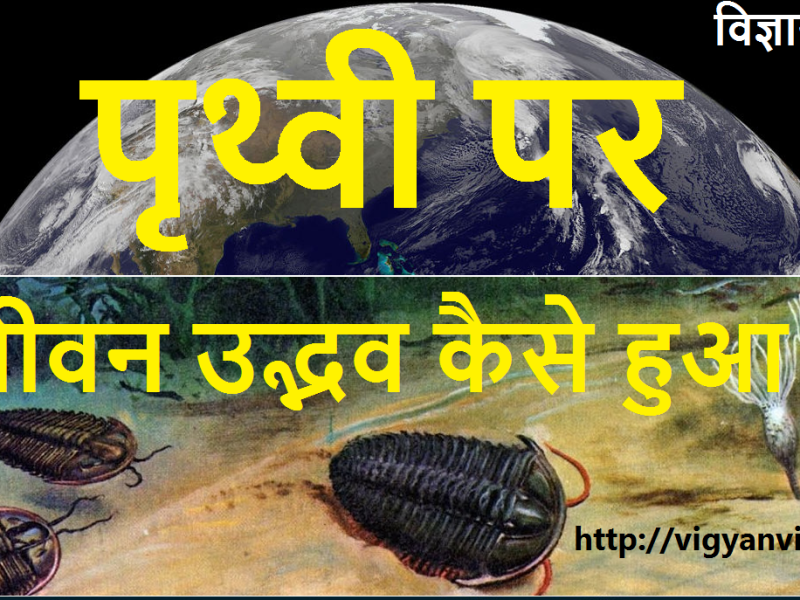 पृथ्वी पर जीवन का उद्भव कैसे हुआ ?