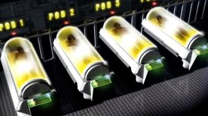 तरल नाइट्रोजन की मदद से शव को -196 डिग्री सेल्सियस पर रखा जाता है.