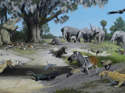 परग्रही जीवन भाग 2 : कार्बन – जीवरसायन का आधार क्यों है?