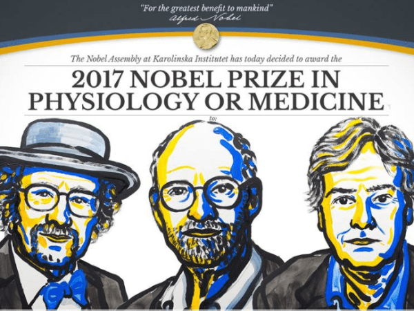 नोबेल पुरस्कार 2017: अमेरिका के तीन वैज्ञानिकों को मिला चिकित्सा का नोबेल पुरस्कार