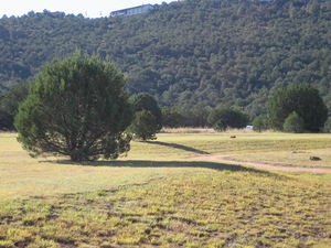नीचे दिया गया चित्र पृथ्वी पर है, इसमे आप देख सकते है कि एक ही प्रकाश स्रोत सूर्य के होने के बावजूद छाया समांतर ना होकर अलग कोण बना रही है। इस तरह का प्रभाव सतह के समतल ना होने से उत्पन्न होता है जिससे टीले, गड्डो के कारण छाया संमातर ना होकर कोण बनाते है।