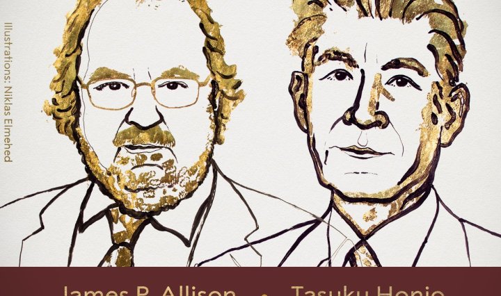 2018 चिकित्सा नोबेल कैंसर थेरपी विकसित करनेवाले जेम्स पी एलिसन(James P. Allison) और तासुकू होंजो (Tasuku Honjo) को