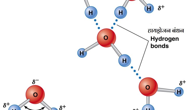 जल एक सार्वत्रिक विलायक