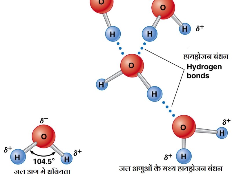 परग्रही जीवन भाग 6 : जल – जीवन का विलायक