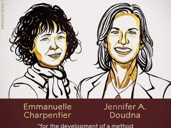2020 रसायन नोबेल पुरस्कार :इमैन्युयेल कारपेंटीएर  तथा जेनिफ़र डाडना