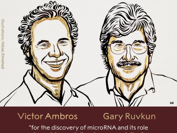2024 चिकित्सा नोबेल पुरस्कार : विक्टर एम्ब्रोस (Victor Ambros) और गैरी रुवकुन (Gary Ruvkun)