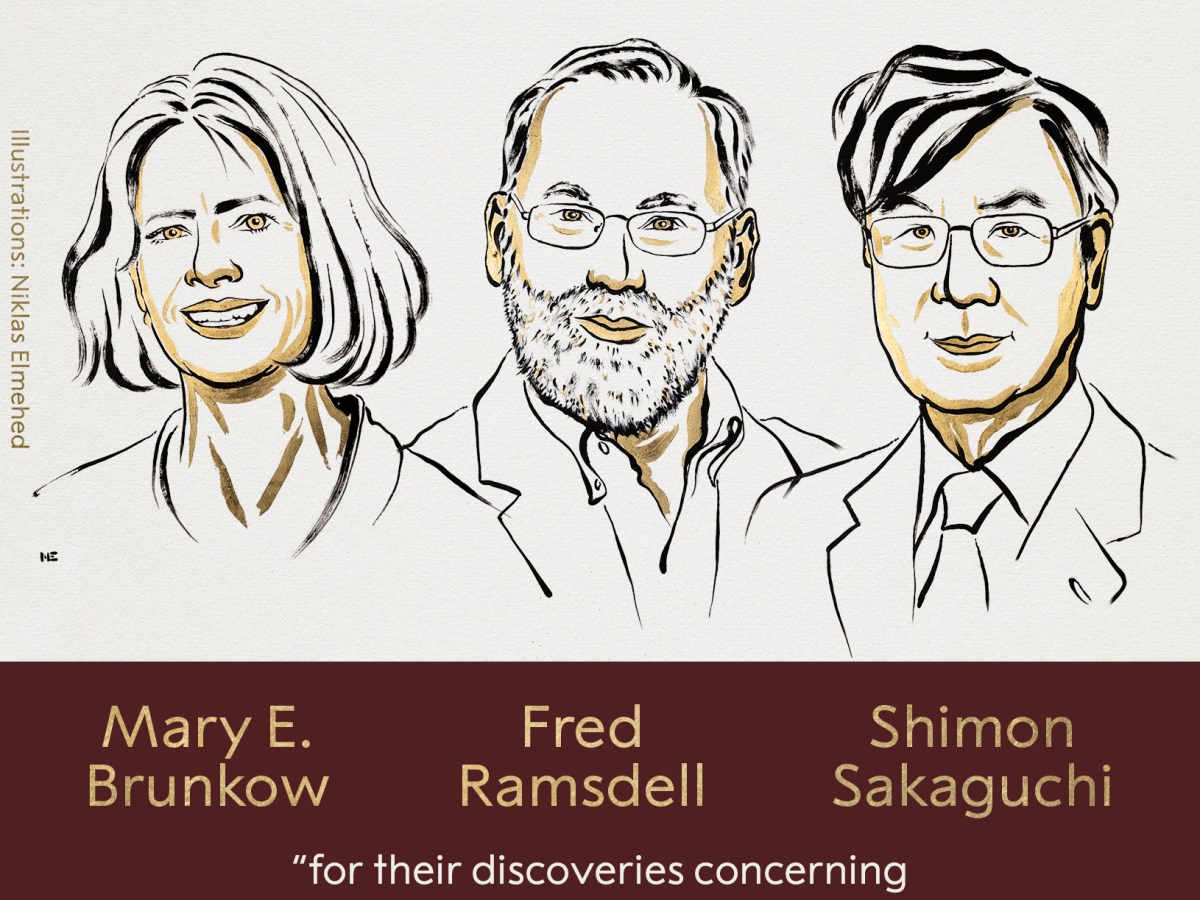 2025 चिकित्सा नोबेल पुरस्कार : मैरी ई. ब्रुनको(Mary E. Brunkow), फ्रेड रामस्डेल(Fred Ramsdell ) और शिमोन साकागुची(Shimon Sakaguchi )